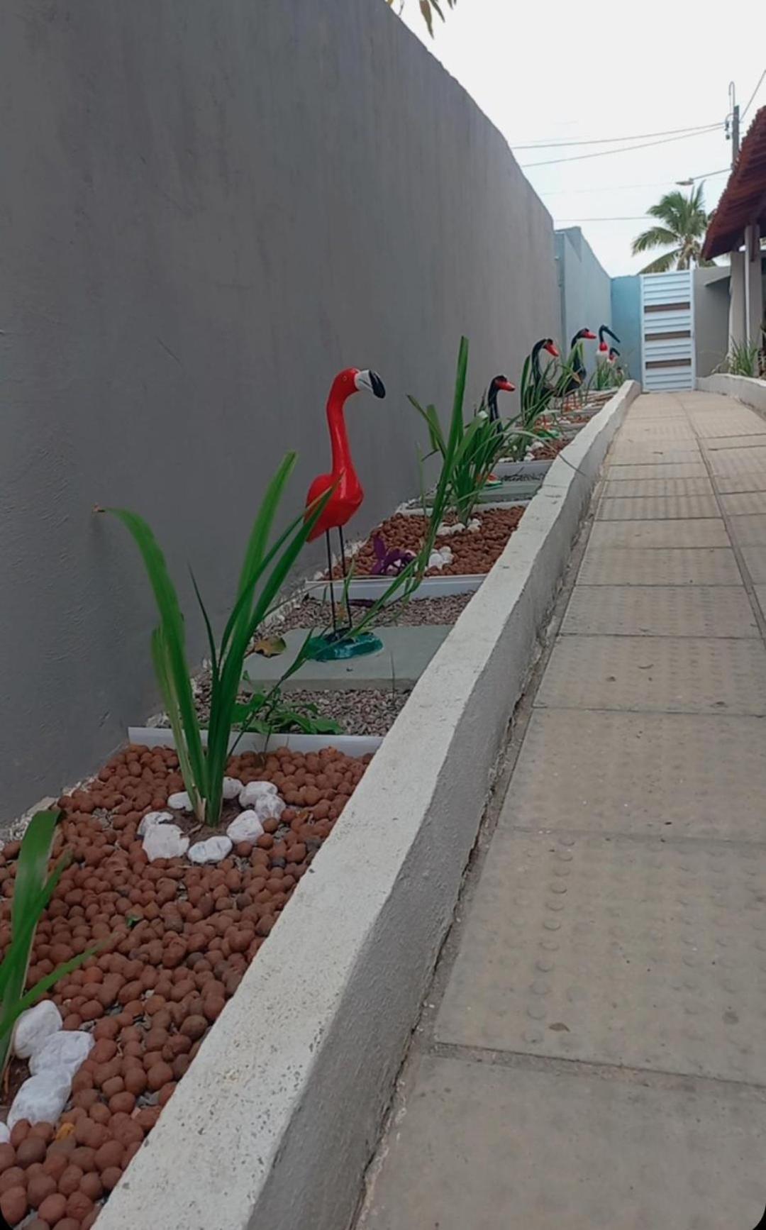 Villa Velha Flats Ilha de Itamaraca Ngoại thất bức ảnh